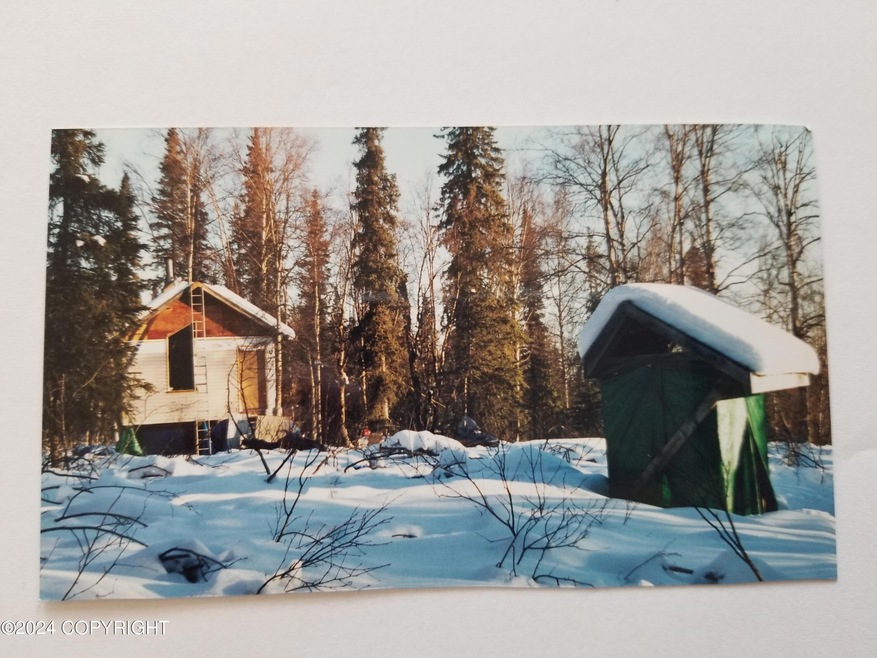 Cabin & Outhouse