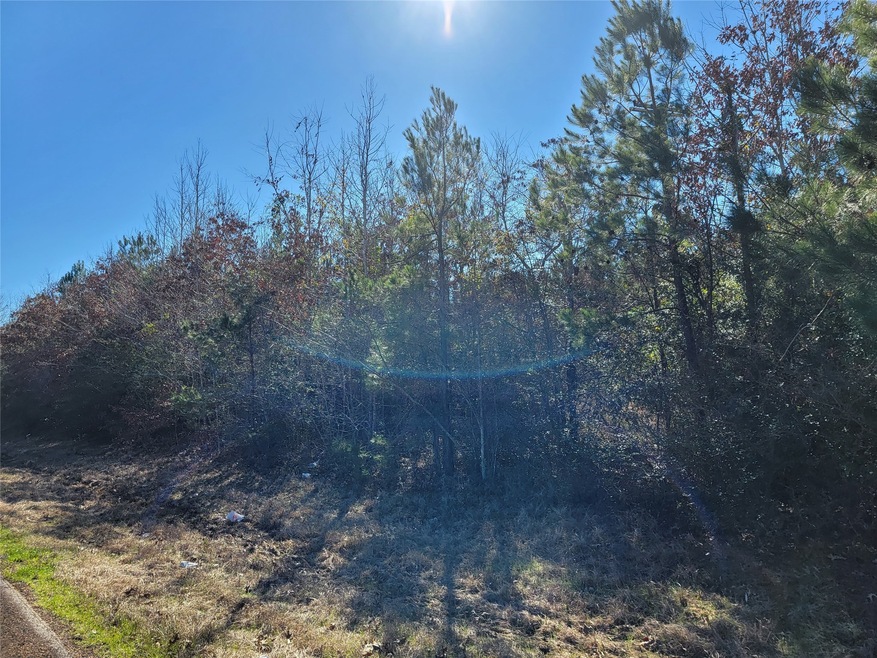 0 Old Highway 59, Lufkin, TX 75904 - photo 1