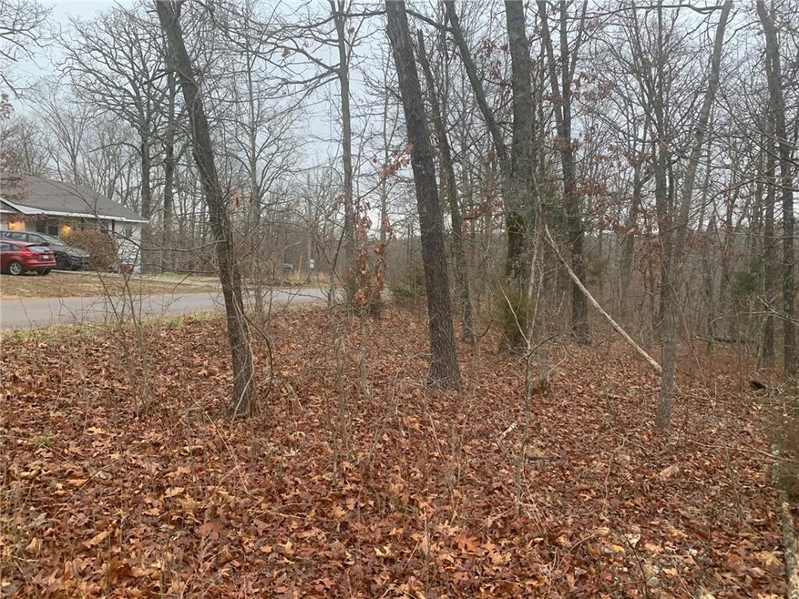 0 Dolly Cir unit 1177502, Bella Vista, AR 72715 - photo 1