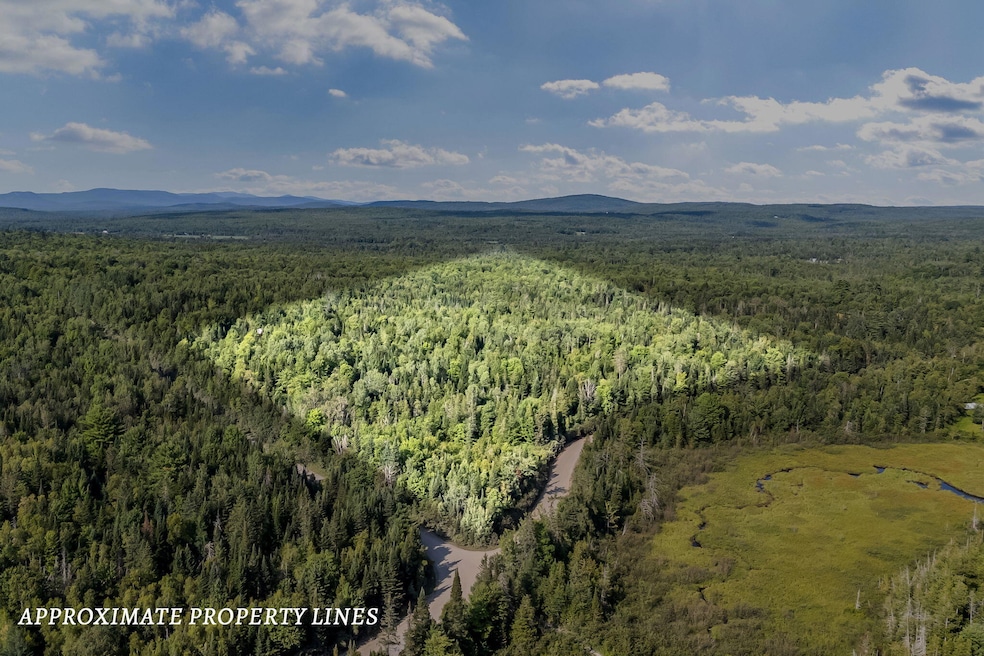 15-web-or-mls-corner-of-monument-rd-gale