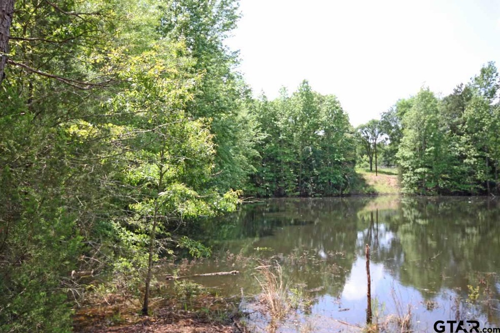 16931 County Road 2203, Arp, TX 75750 - photo 1