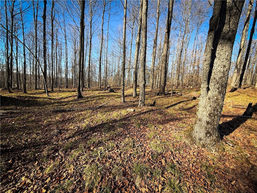 Lot-01 Langford Creek Rd, van Etten, NY 14889 - photo 1