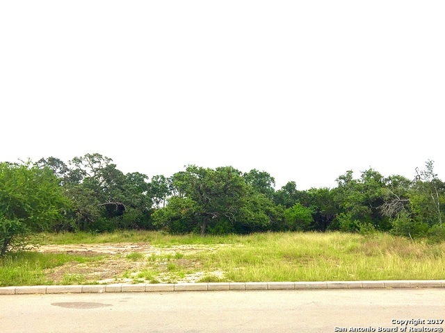 3906 Luz Del Faro, San Antonio, TX 78261 - photo 1