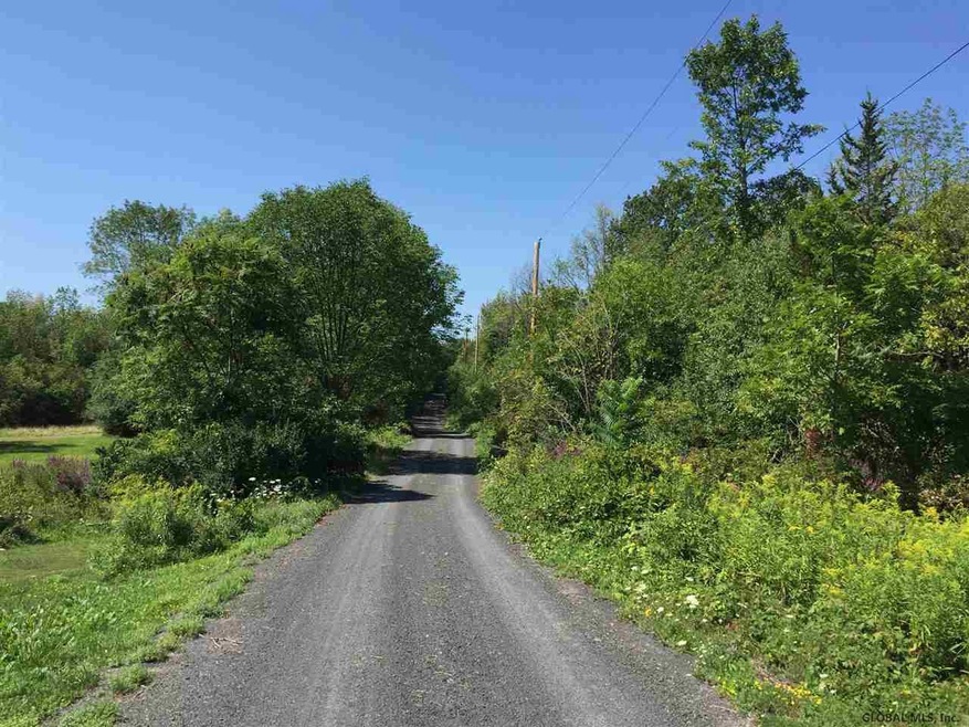 0 Schoharie Turnpike unit 201718532, Athens, NY 12015 - photo 1