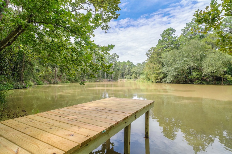 Private Dock and Boat ramp on the San Jacinto Rive