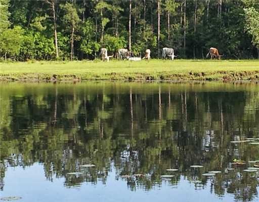 0 Lott McCarty Rd, Picayune, MS 39466 - photo 1