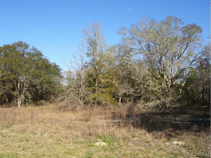 1499 E Ridgefield Dr, Hernando, FL 34442 - photo 1