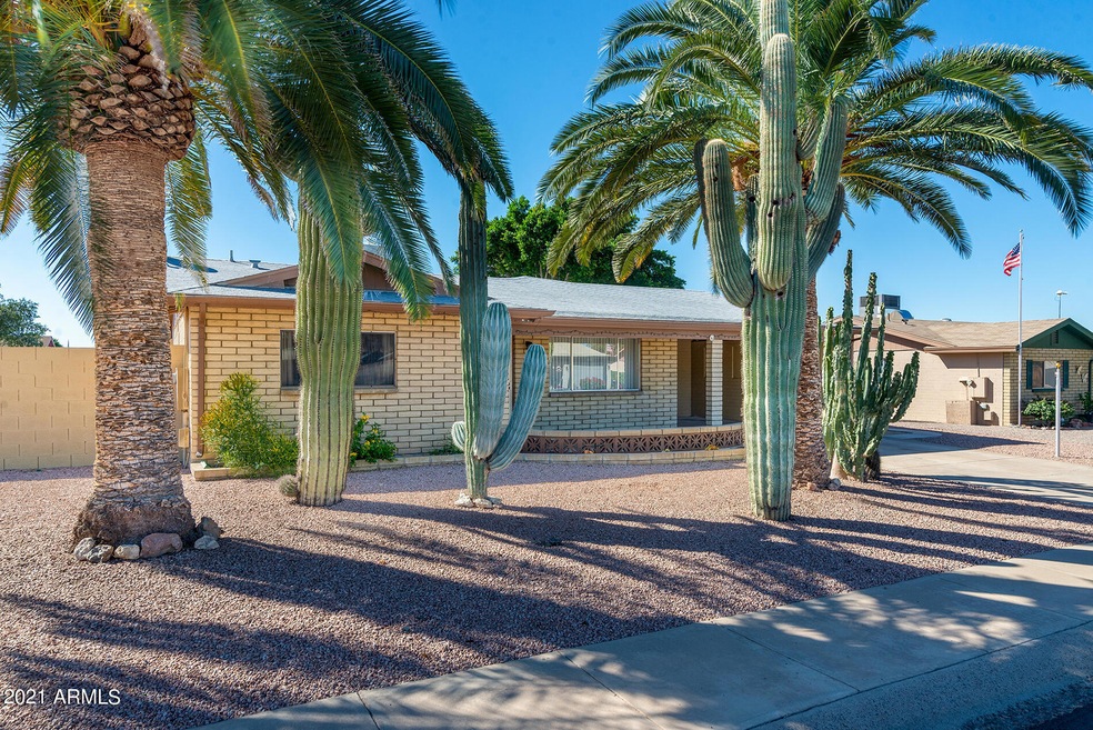Front Saguaros