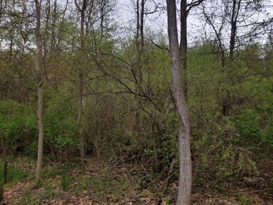 20190511_084521