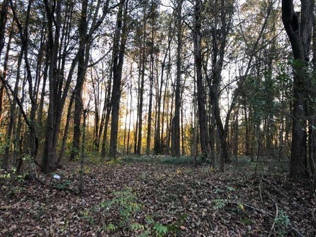 00 Highway 92, Enoree, SC 29335 - photo 1