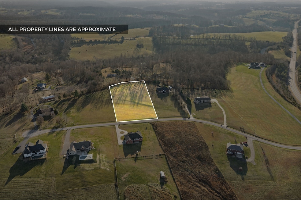 0 Watercrest Ln, Red Boiling Springs, TN 37150 - photo 1