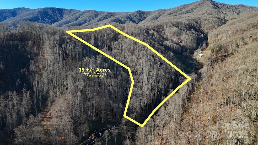 15 +/- Acres Riddle Branch Rd, Burnsville, NC 28714 - photo 1
