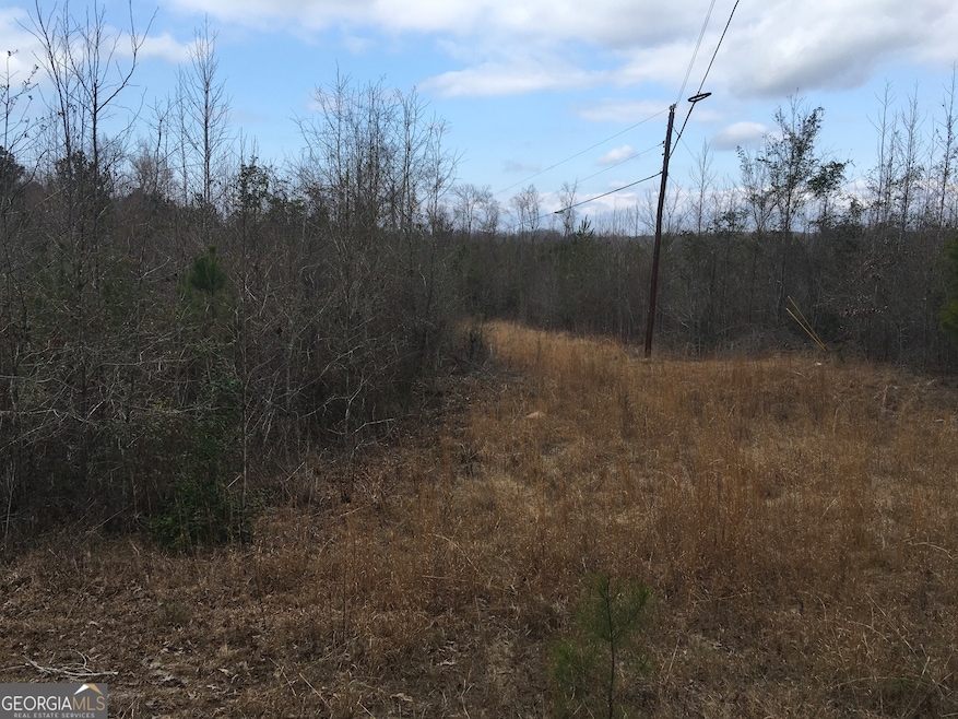 0 Dennard Hardy Rd unit 10460790, Gordon, GA 31031 - photo 1