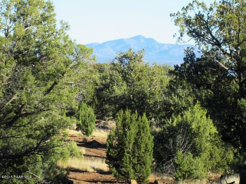 22171413 Unnamed Rd, Ash Fork, AZ 86320 - photo 1