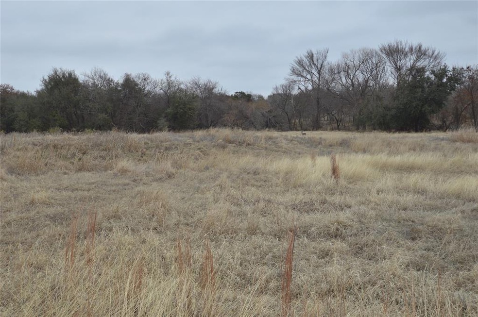 118 White Wing Ct, Weatherford, TX 76088 - photo 1