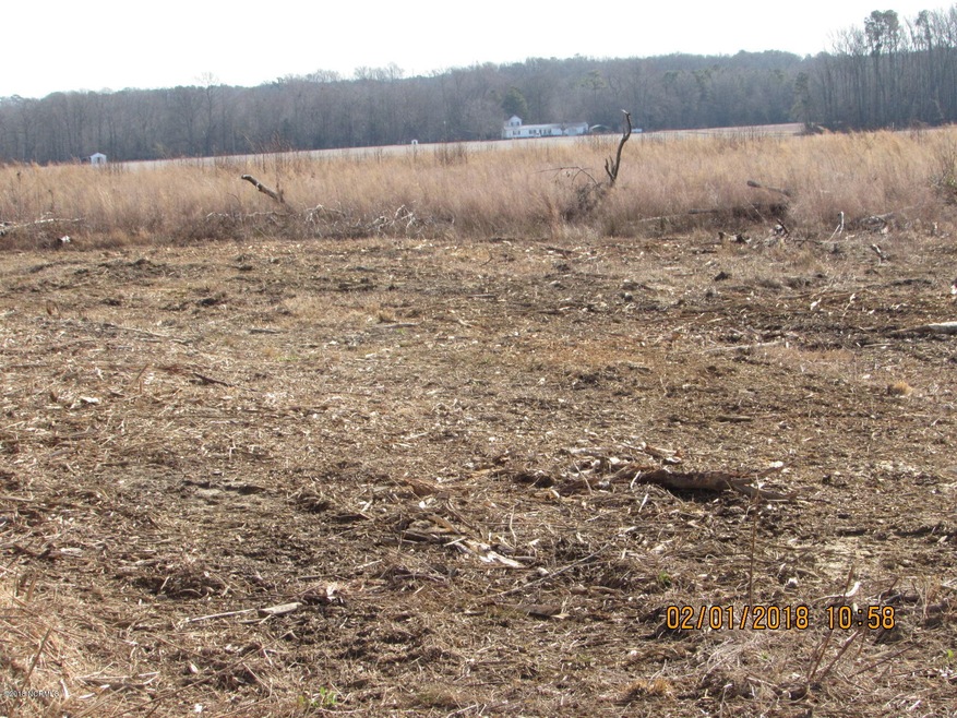 249 Orchard Rd, Elm City, NC 27822 - photo 1