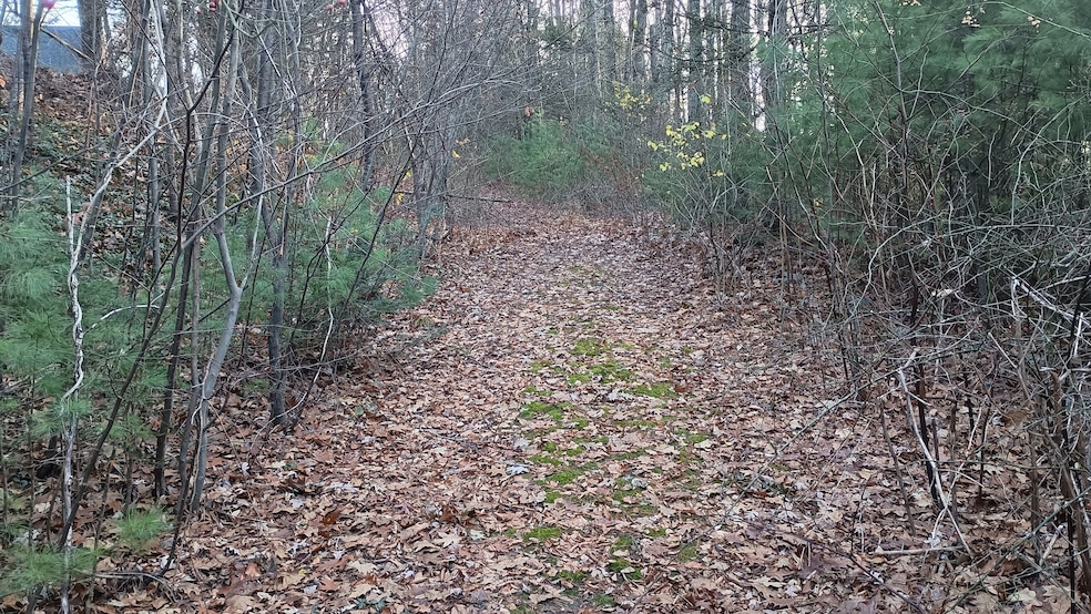 0 Campville Hill Rd, Harwinton, CT 06791 - photo 1