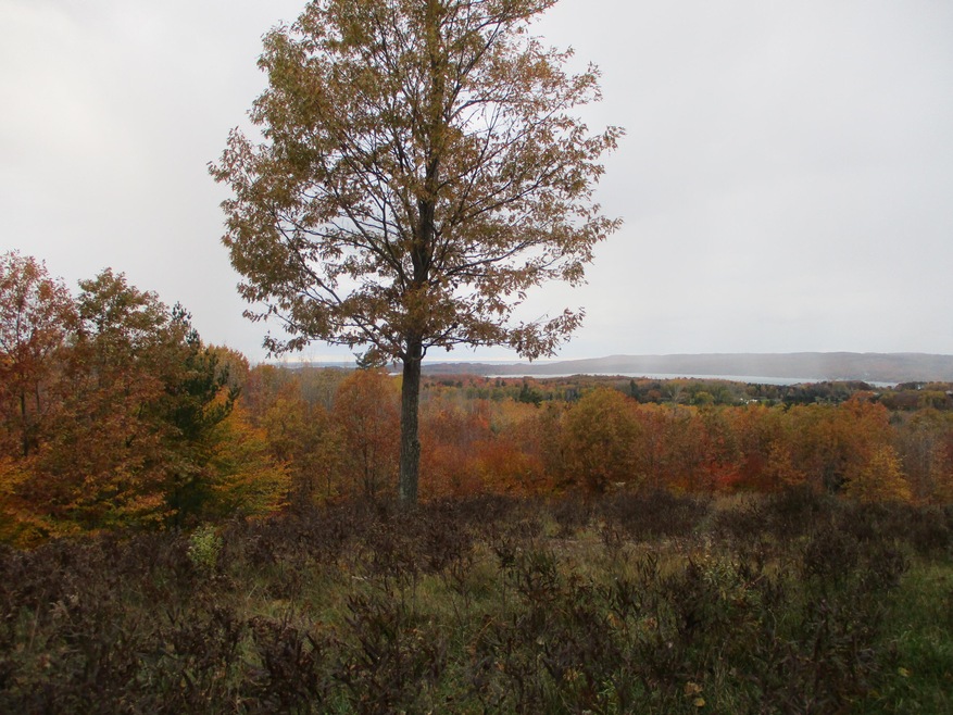 0 Valleyview Ridge unit 3 21113508, Manistee, MI 49660 - photo 1