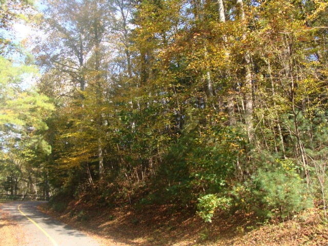 Main View