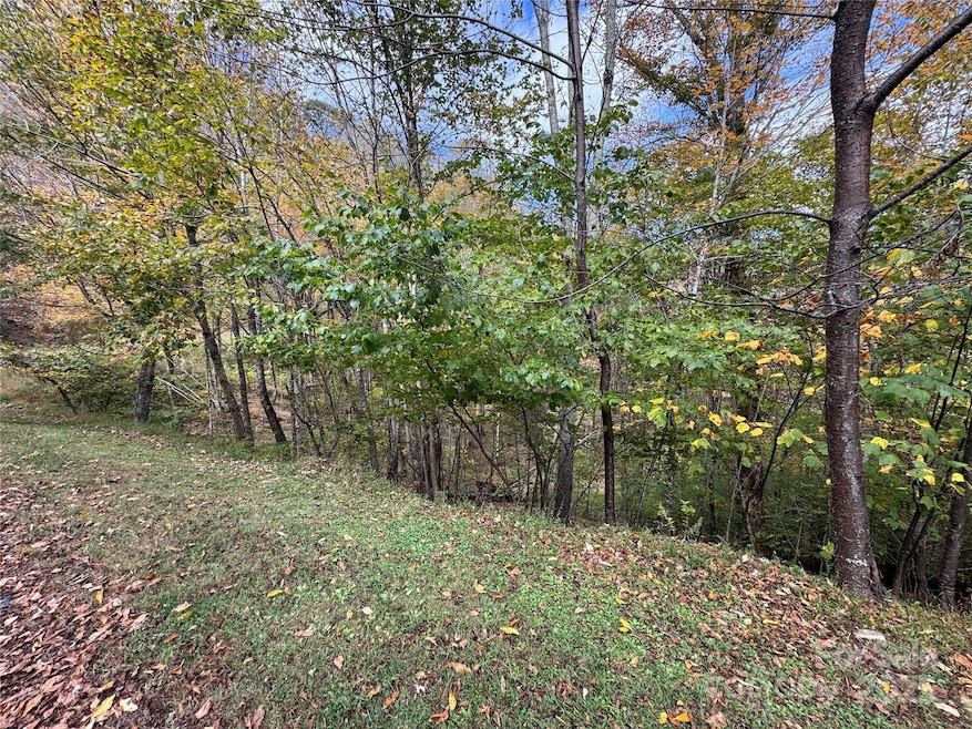 92 Goldenleaf Rd, Mars Hill, NC 28754 - photo 1