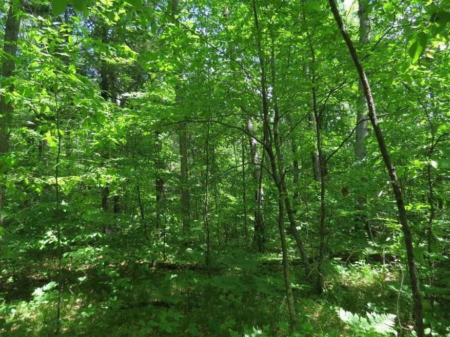 xxx Lily Lake Inn Rd, Webster, WI 54893 - photo 1