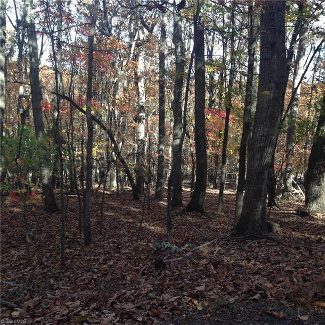 0 Scott Mountain Road Extension, Asheboro, NC 27205 - photo 1