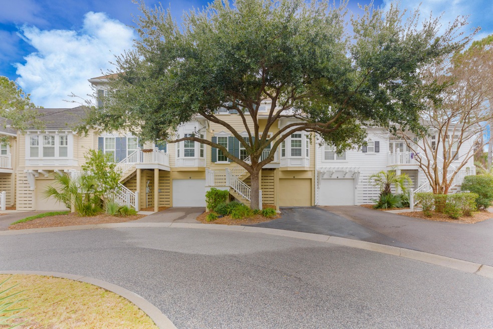 1508figvinecourtmtpbrettmartinphotograph