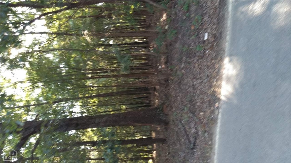 0 Duncan Rd unit 10082553, Jonesboro, AR 72401 - photo 1