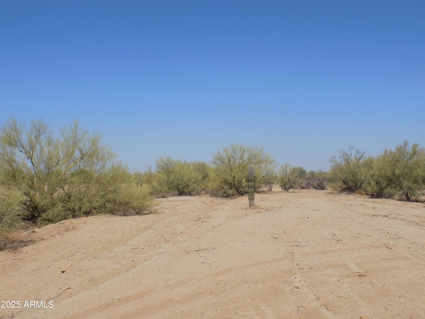 1.25 E Tbd-Cactus Forest & N Reed Rd unit 3, Florence, AZ 85132 - photo 1