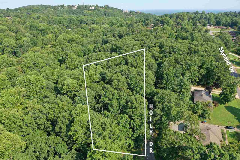 0 Holly Dr unit Tract 2 9009396, Cornelia, GA 30531 - photo 1