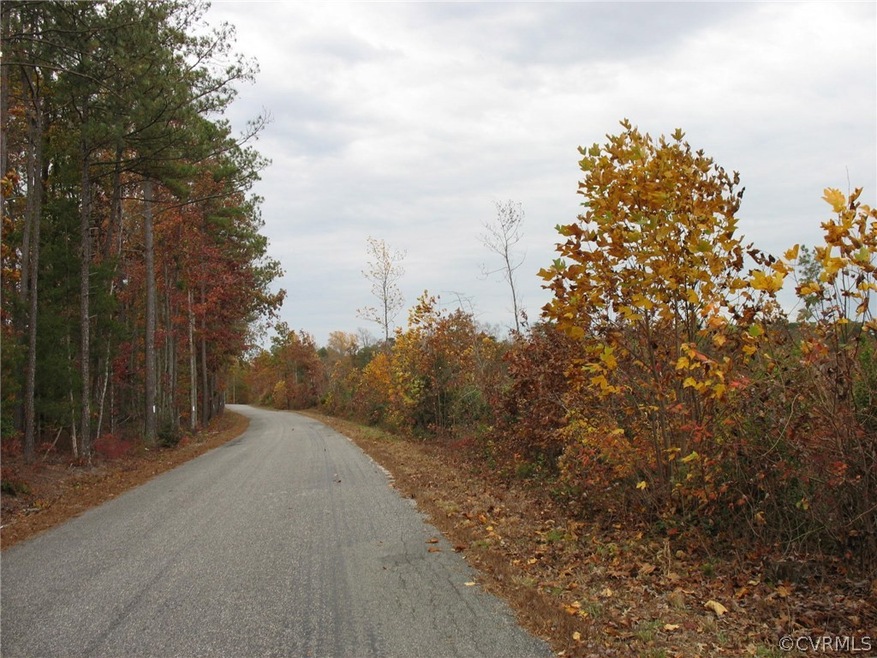 00 Dry Bridge Rd, Caroline, VA 22546 - photo 1