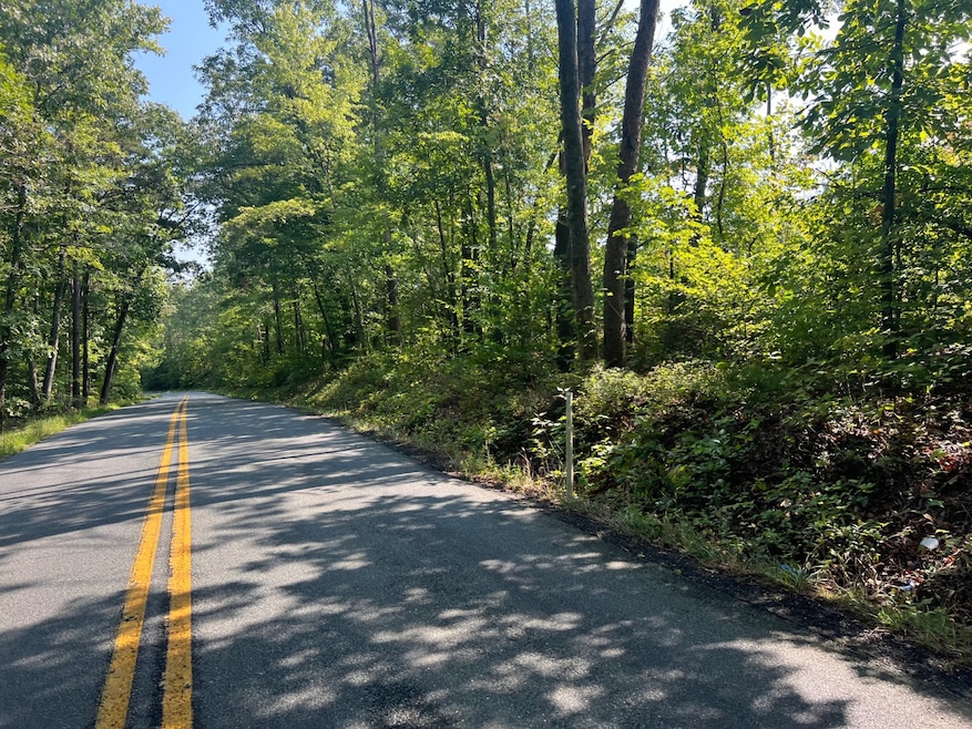 #1 Ambler Rd, Lousia, VA 23093 - photo 1