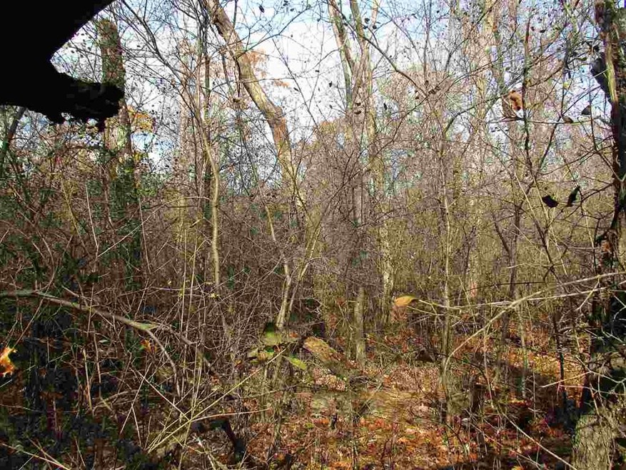 0 Black Oak Ct unit 50194200, Coloma, WI 54930 - photo 1