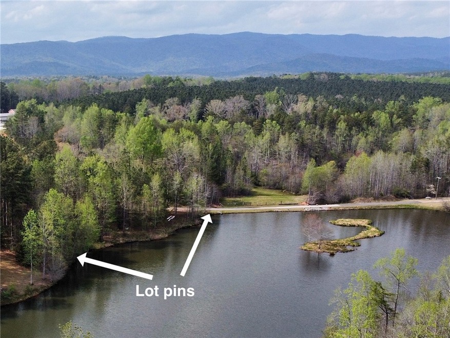 Lot 31 the Bear Blvd, Tamassee, SC 29686 - photo 1