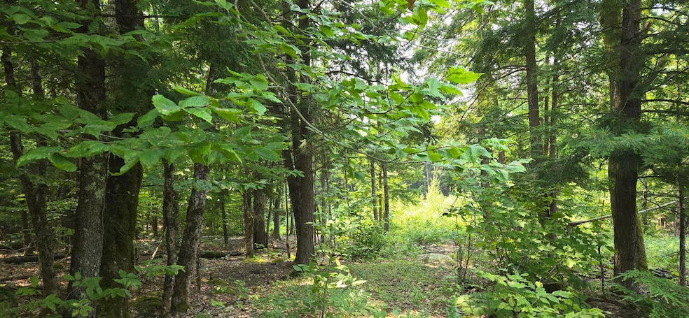 486 N High St, Bridgton, ME 04009 - photo 1