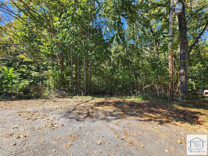 0 Turner Ashby Rd, Chatmoss, VA 24112 - photo 1