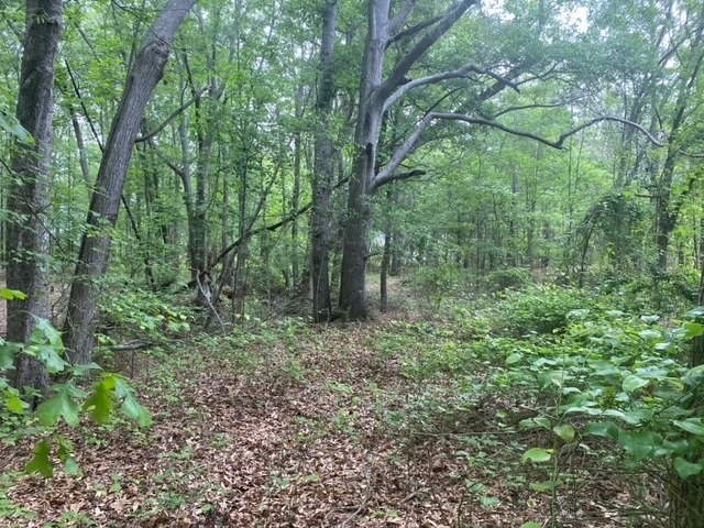 Sold $46,000 • Co-Listing Agent