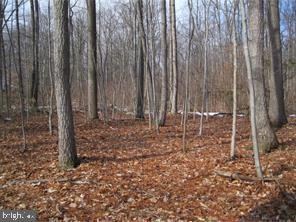 183 Barons Hill Rd, Honey Brook, PA 19344 - photo 1