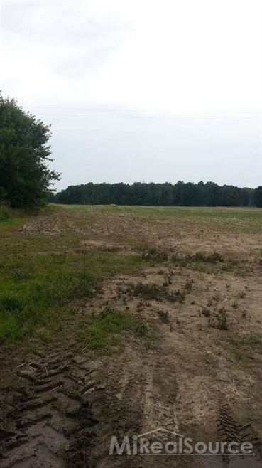 This is a view of the property.
