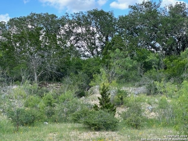 600 County Road 241, Hondo, TX 78861 - photo 1