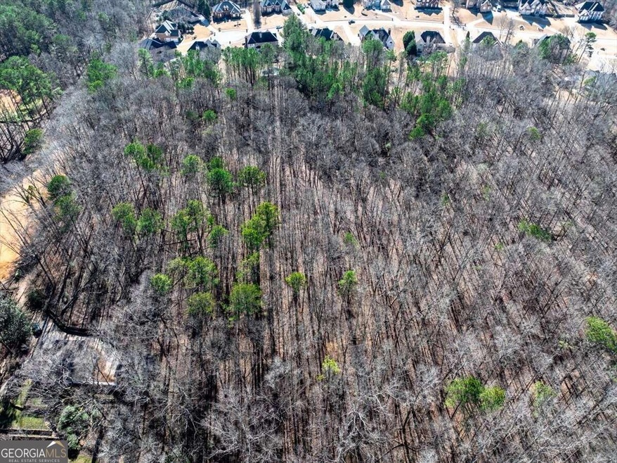 0 Austin Rd unit 10249114, Ellenwood, GA 30294 - photo 1