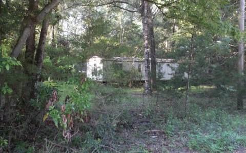 204 SW Iowa Dr, Fort White, FL 32038 - photo 1