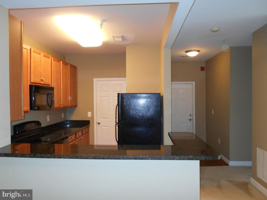 6161 Willow Place unit 308, Bealeton, VA 22712 - photo 1