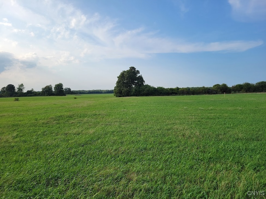 0 Three Mile Pt Rd unit S1636033, Lyme, NY 13693 - photo 1