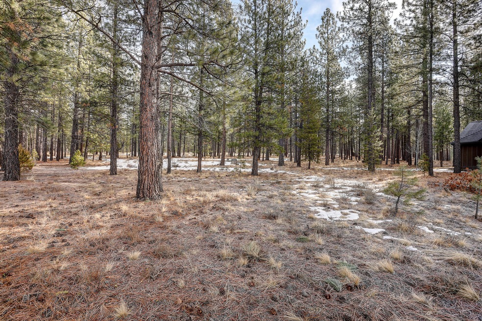 Caldera Springs Lot 127 MLS-4