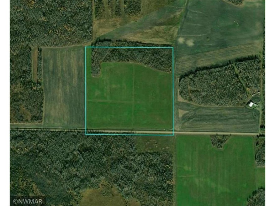 40 Acre Parcel