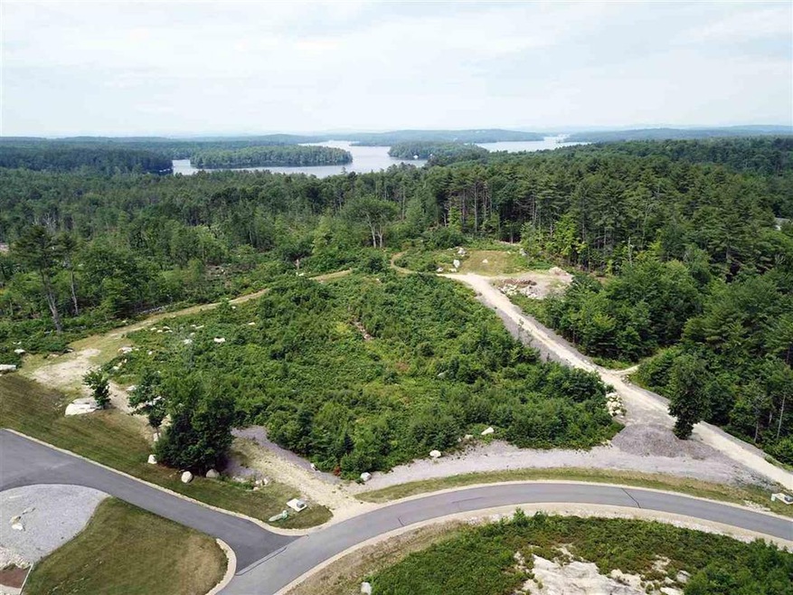 Lot 3 Farm Pond Ln unit Lot 3, Tuftonboro, NH 03816 - photo 1