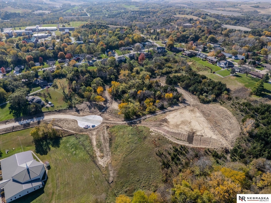 1155 N 28th Ave, Blair, NE 68008 - photo 1