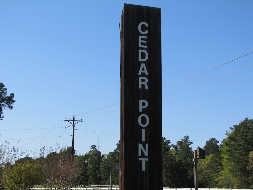 TBD Mesquite, Livingston, TX 77351 - photo 1