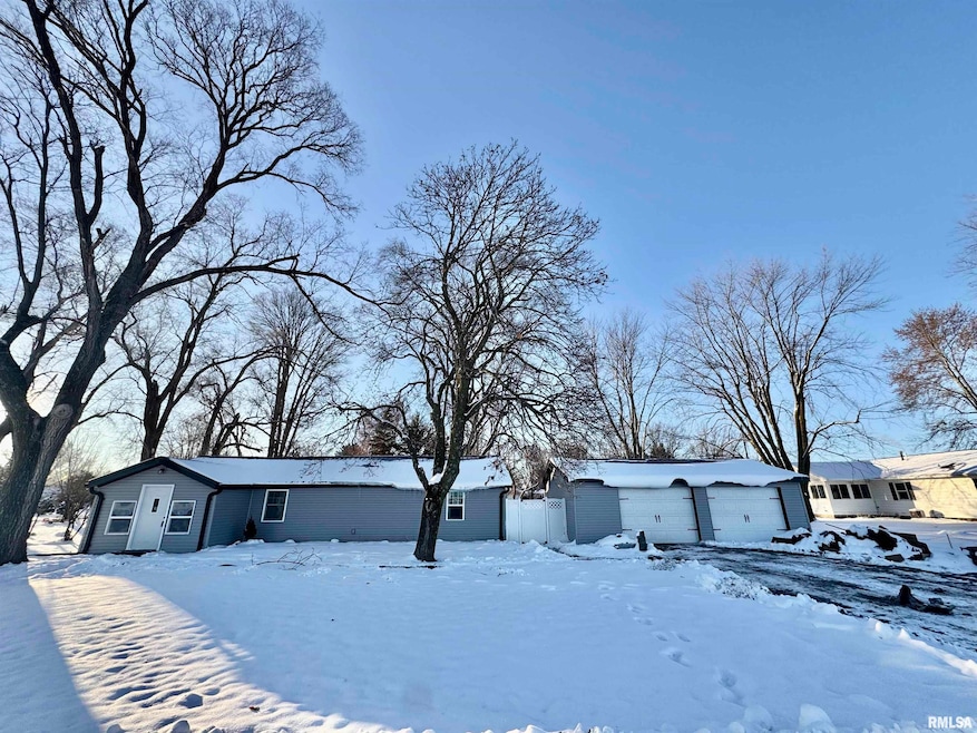 106 E Beeson St, Joy, IL 61260 - photo 1